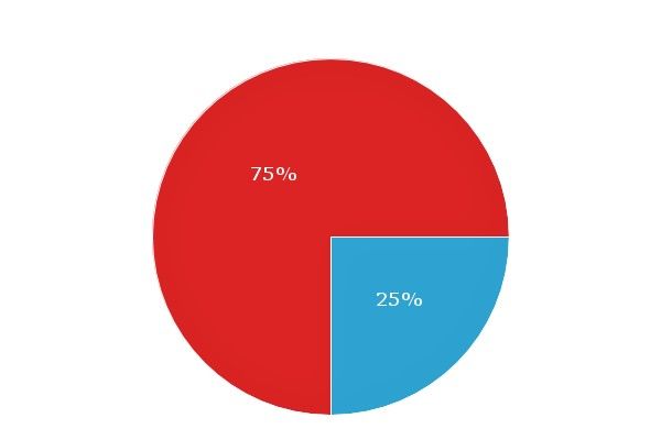 Pie-Chart-2 (2).jpg