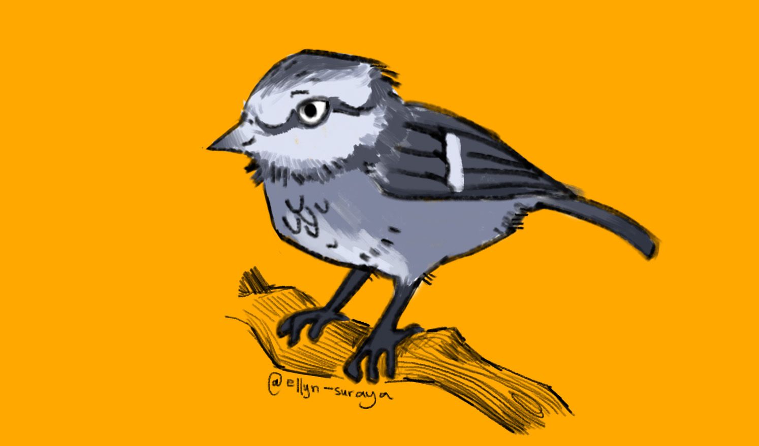 Daily Bird Drawings_1.jpg