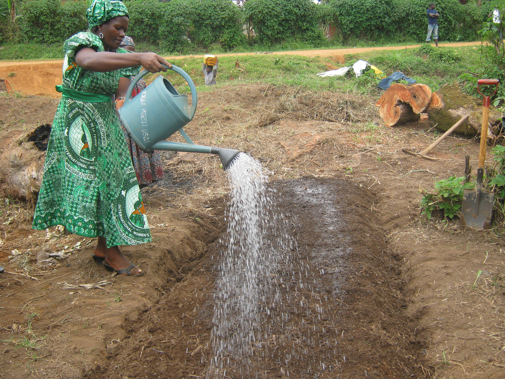 watering lady.jpg