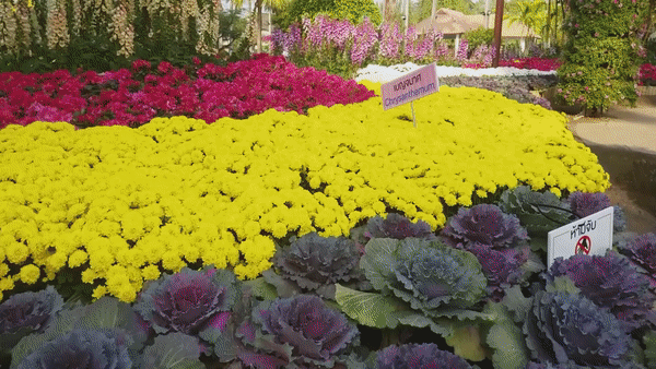 ezgif.com-video-to-gif (41).gif