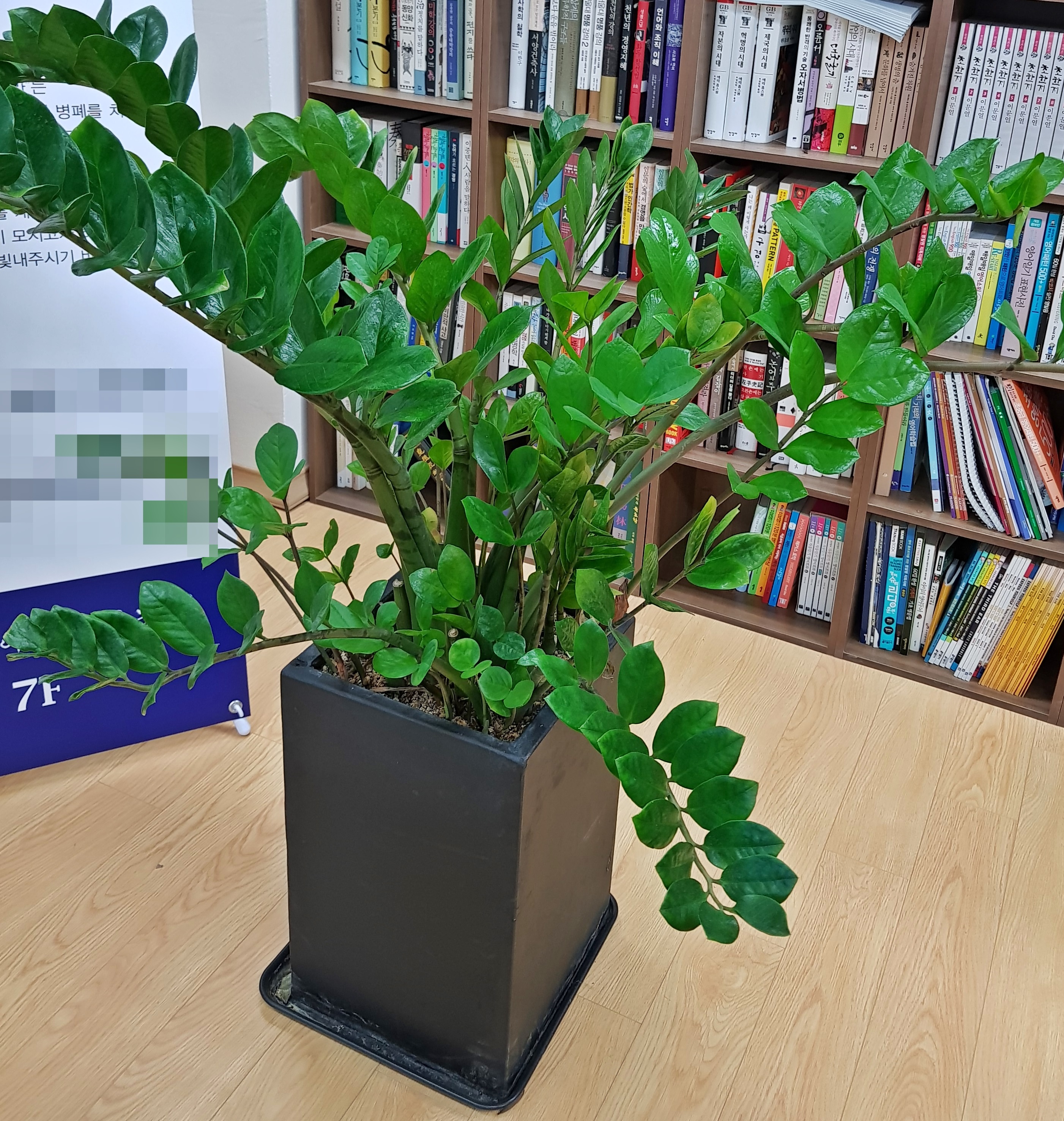 20180316_135324.jpg