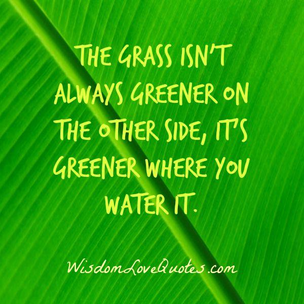 The Grass Is Only Greener In Yourself Steemit