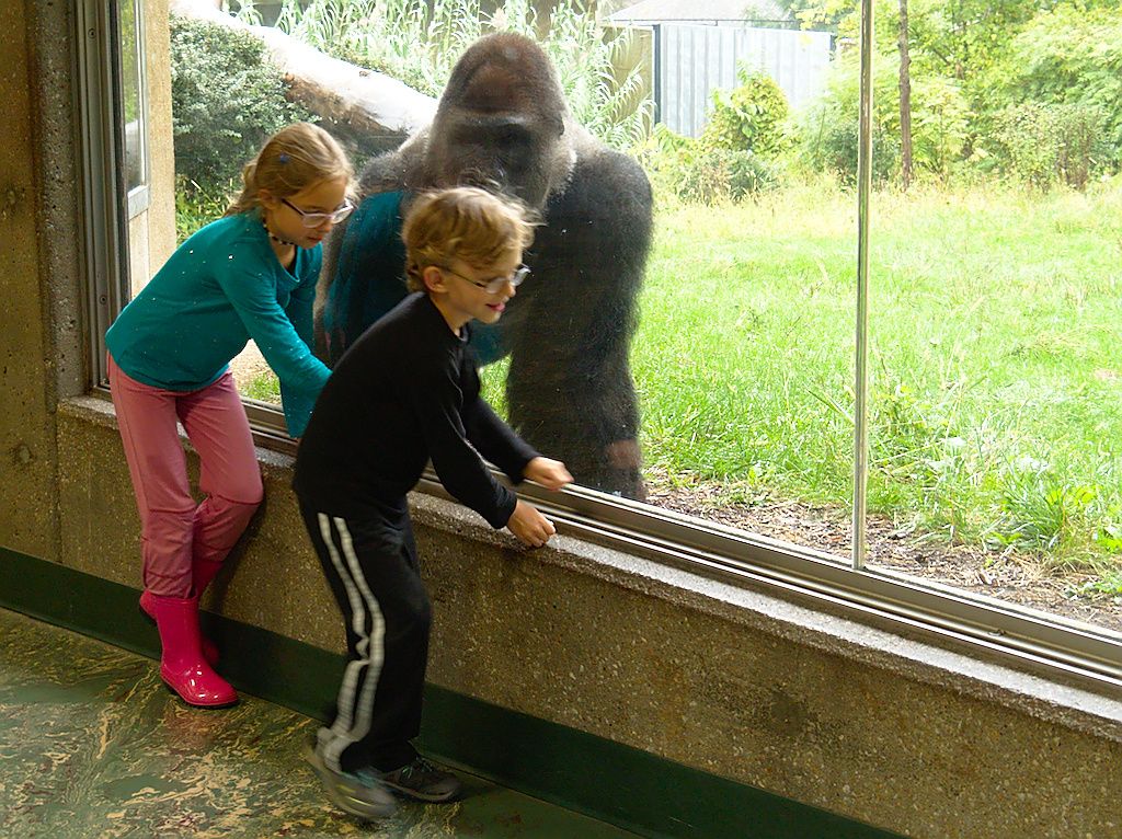 20171005_OmahaZoo116.jpg