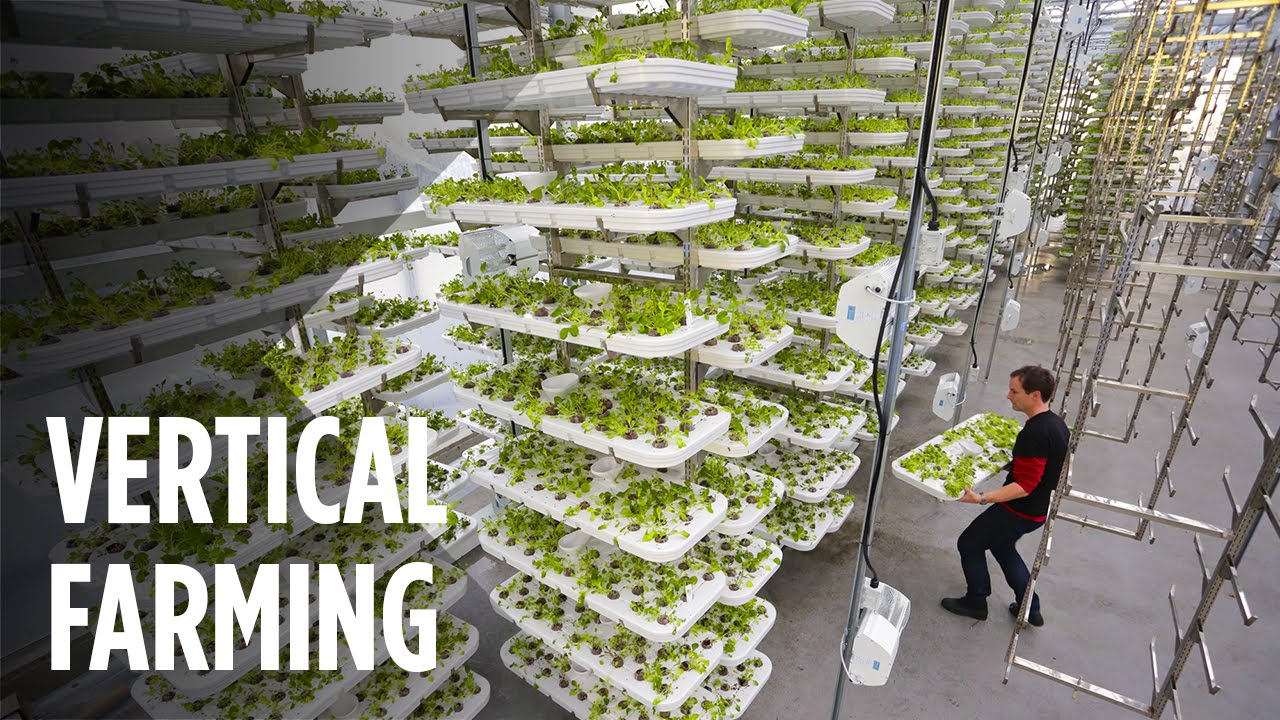 Vertical Farming.jpg