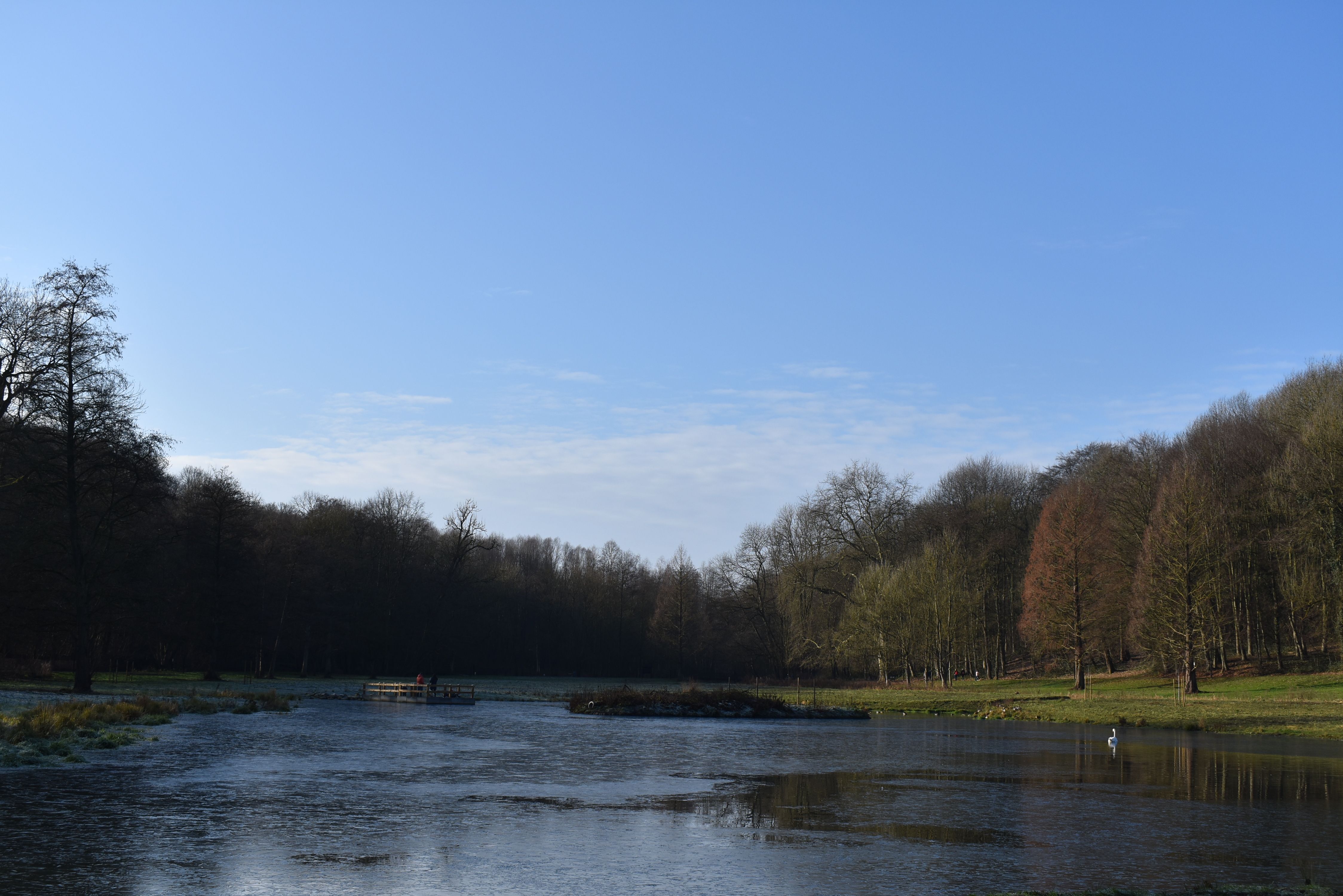 DSC_0155.JPG