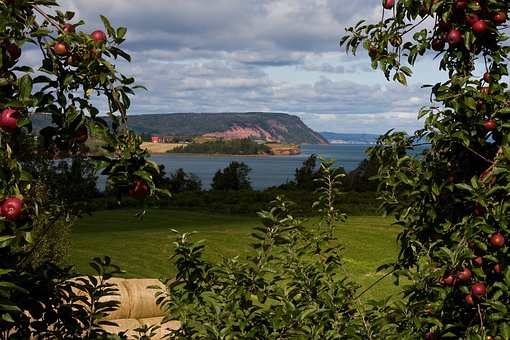 blomidon-1872999__340.jpg