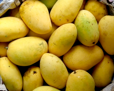 Mango-chokanan.png