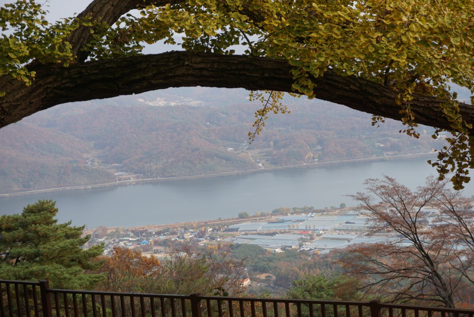 DSC09074.JPG