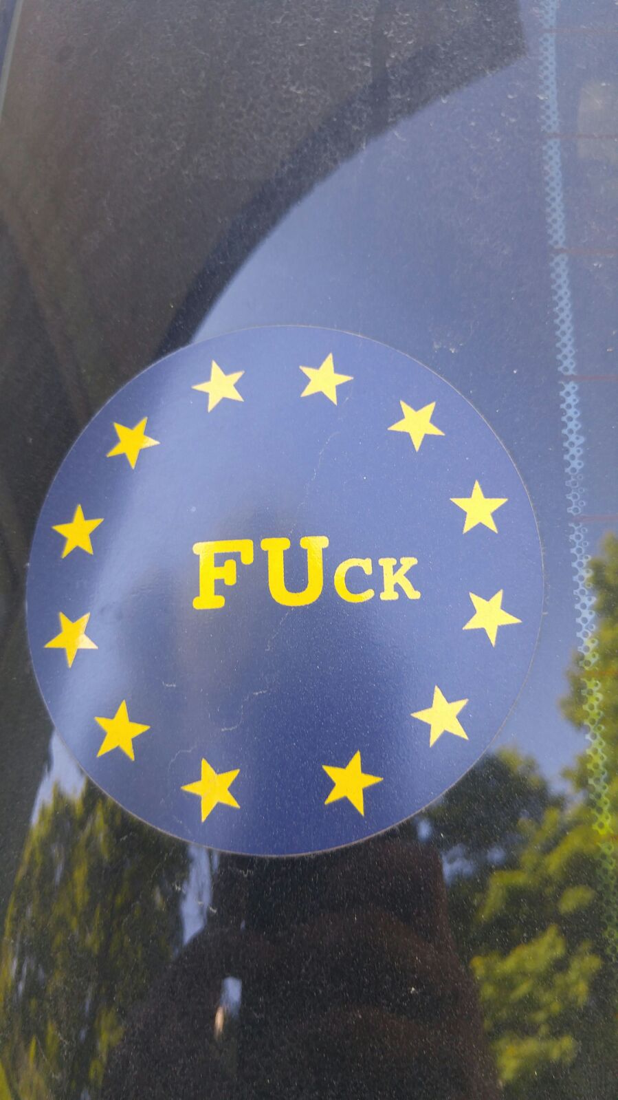 FUCK_EU[1].jpg