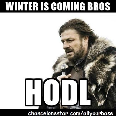 winter-is-coming-bros-hodl.jpg