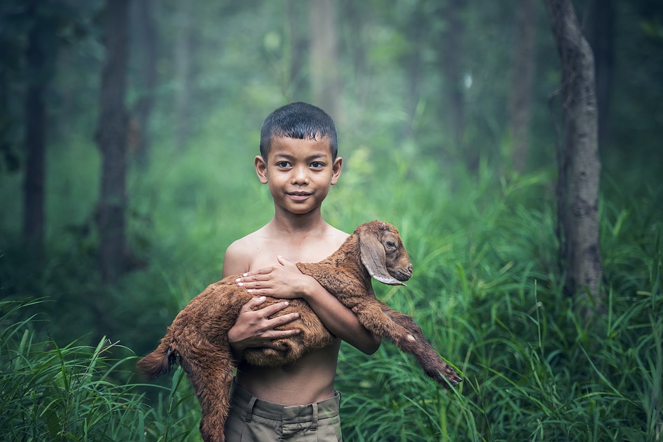 Boys Outdoor Thailand Baby Agriculture Mammal.jpg