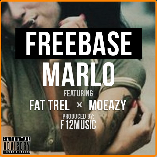 freebase album art blank.jpg