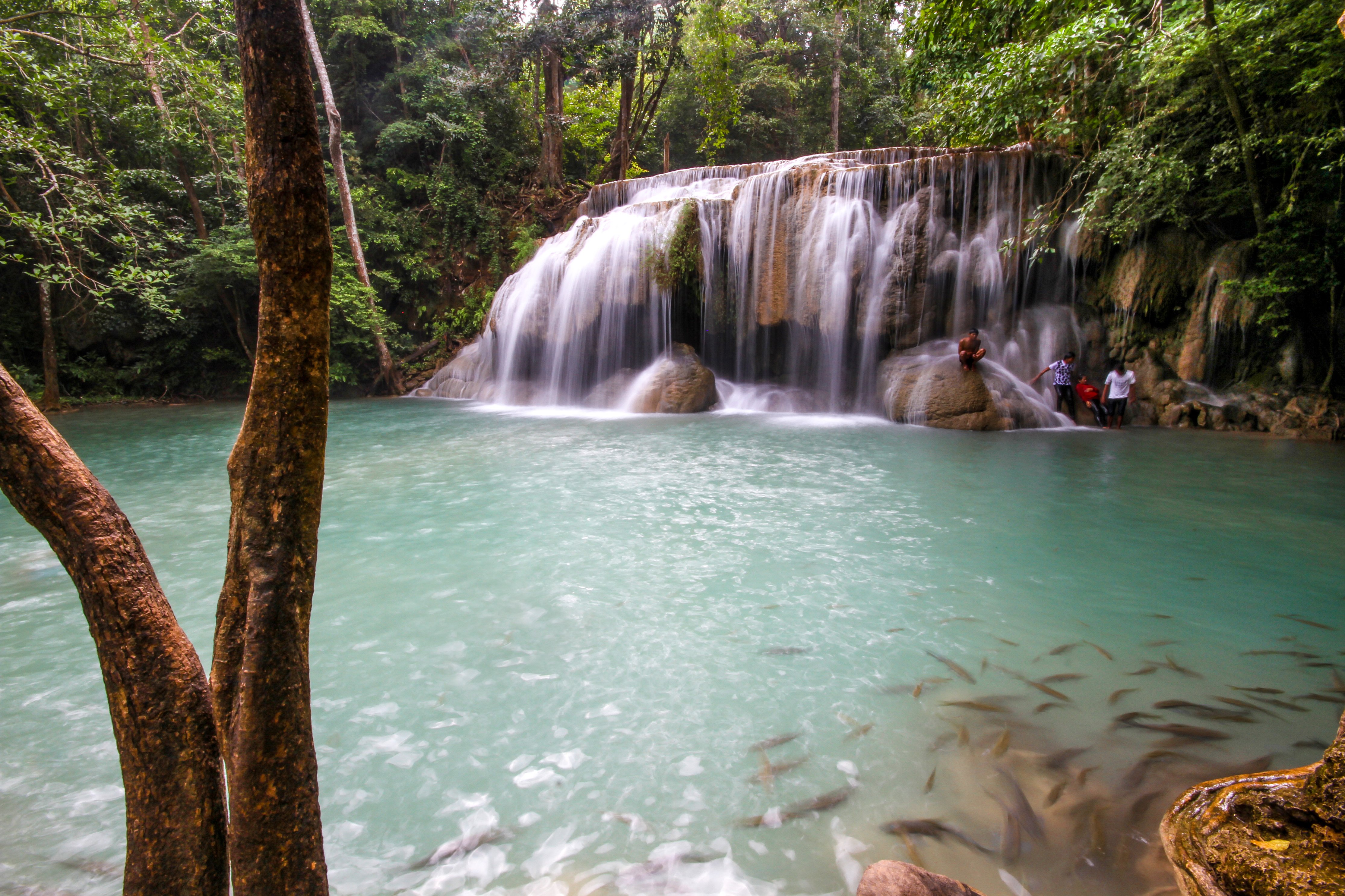 tropical-waterfall_4460x4460.jpg