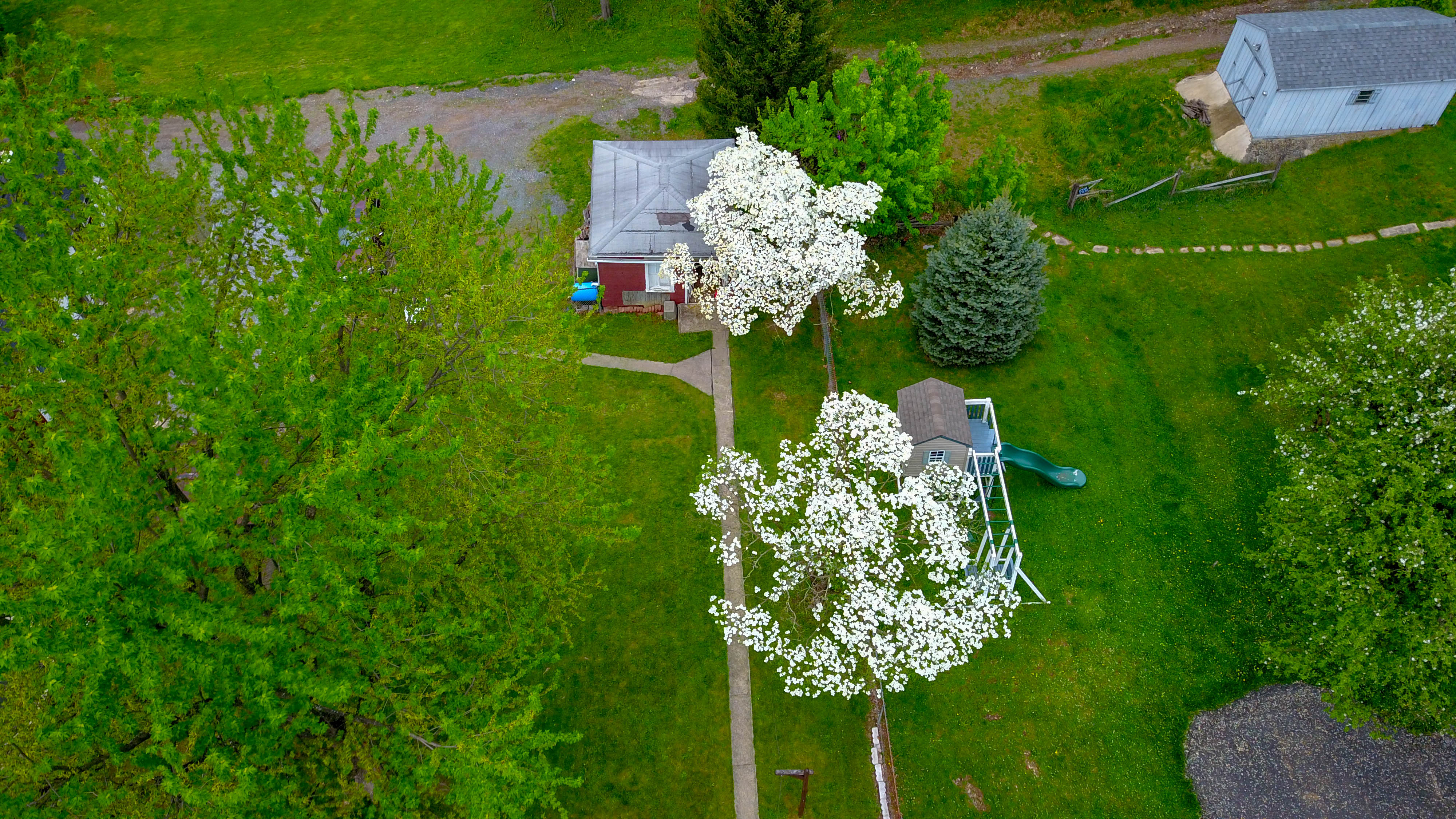 DJI_0127.jpg