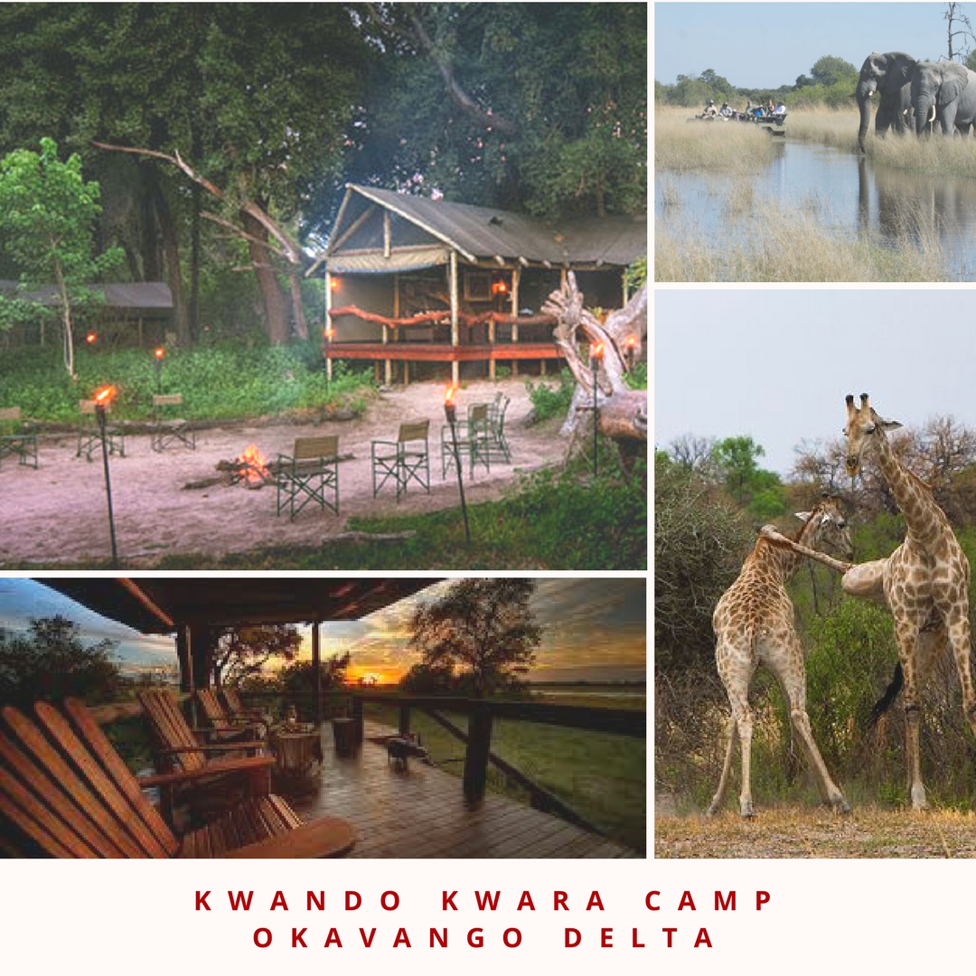 Kwando Kwara Camp (1).jpg