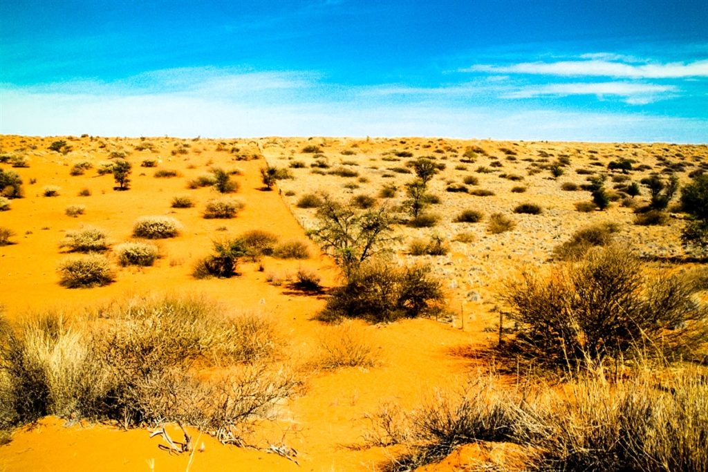 Kalahari Desert.jpg