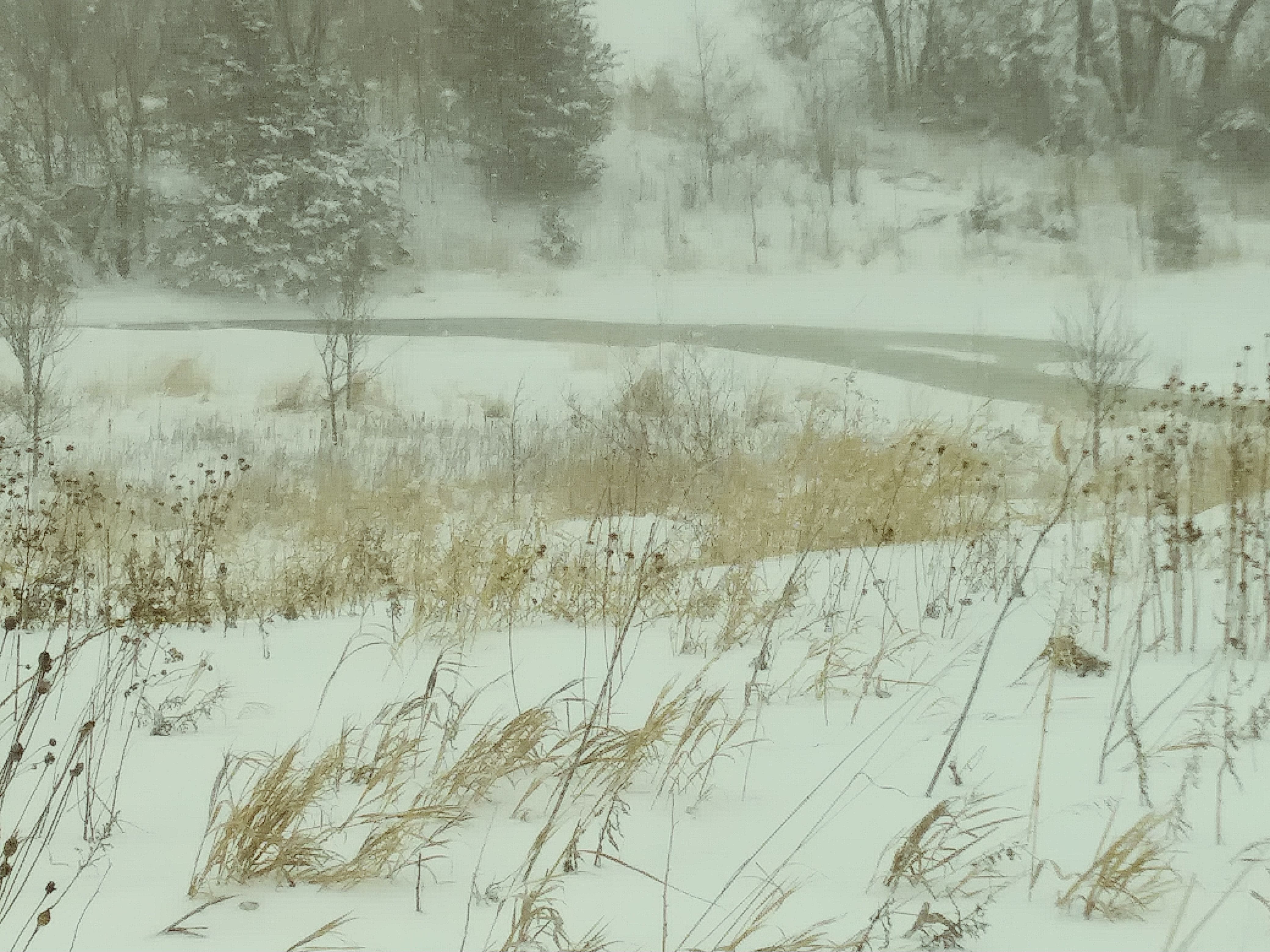 20180403_162841_Film2.jpg