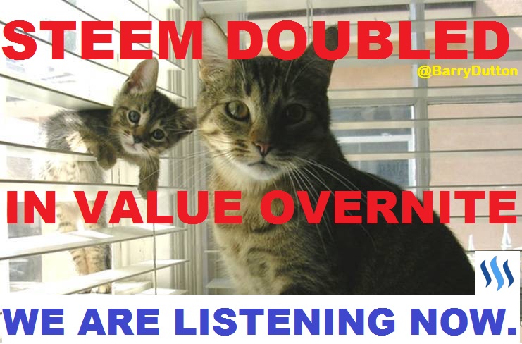 Steemit Doubled in Value 2 cats - We are Listening Now. 741x488.jpg