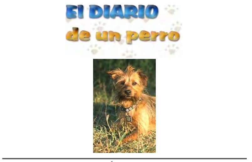 perro.jpg