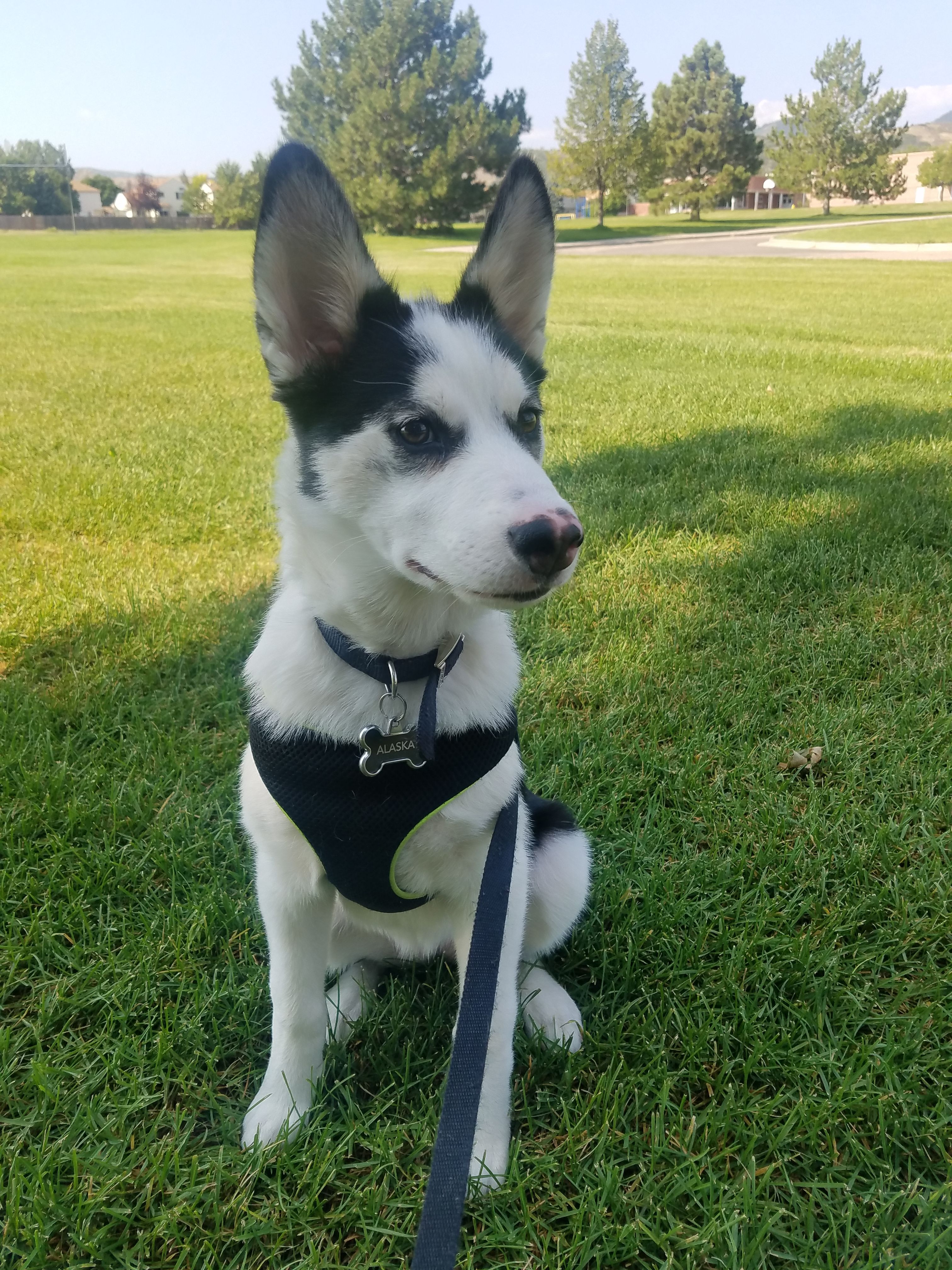 20170829_094844.jpg