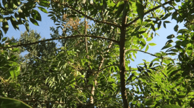 giphy-downsized-large (3).gif