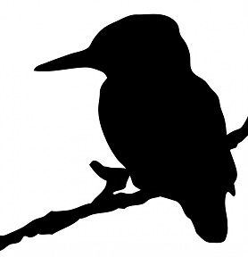 kingfisher-bird-silhouette-clipart.jpg