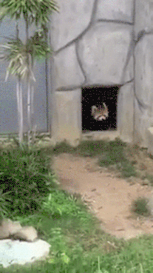 Get Https Encrypted Tbn0 Gstatic Com Images Q Tbn 3aand9gcrxerv0ymyvlytxcxwlpzryayfscgh Irajig Usqp Cau Free Wallpaper Https Encrypted Tbn0 Gstatic Com Images Q Tbn 3aand9gcrxerv0ymyvlytxcxwlpzryayfscgh Irajig Usqp Cau Desktop Wallpaper Free