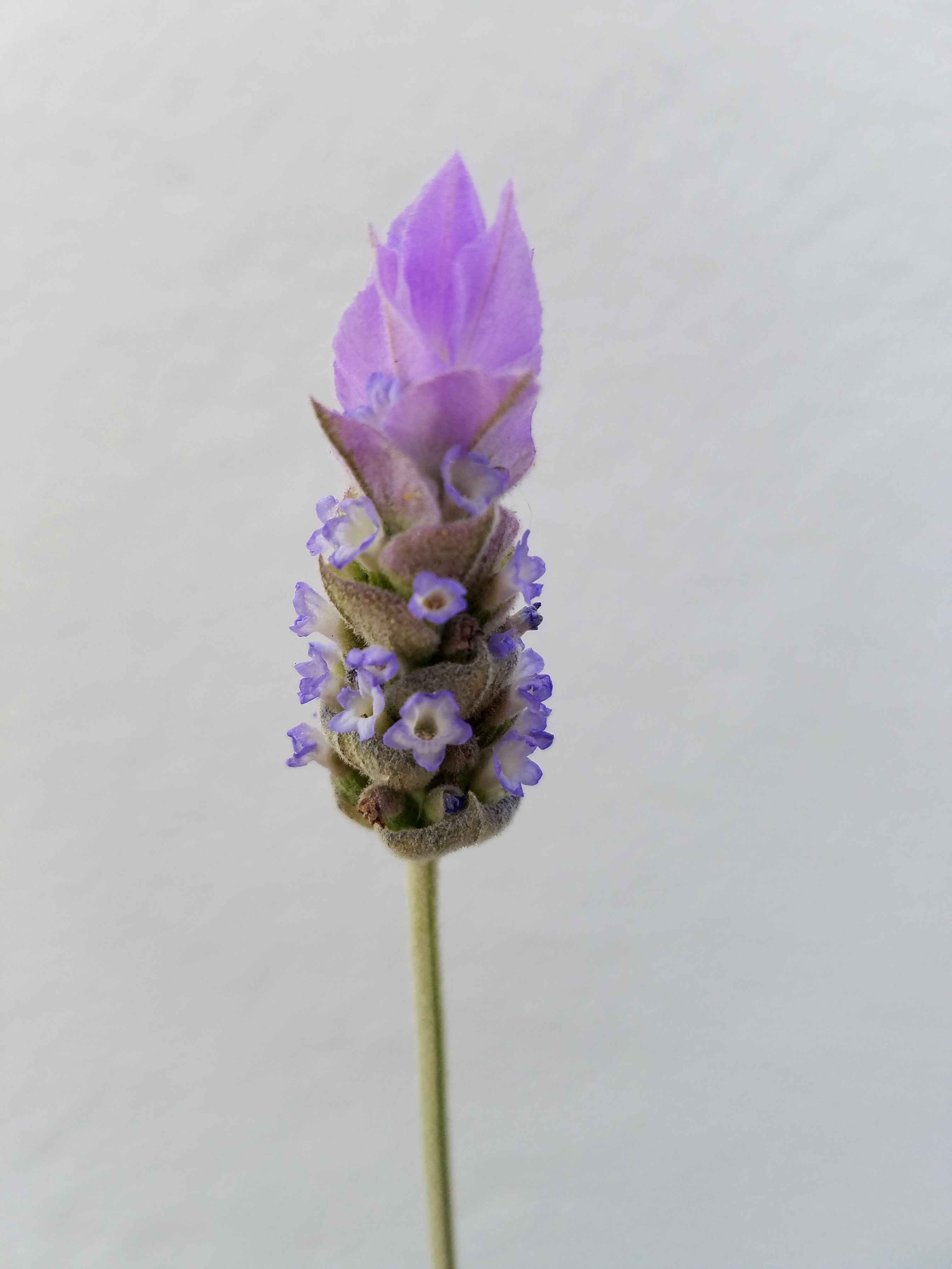 20180428_223033.jpg