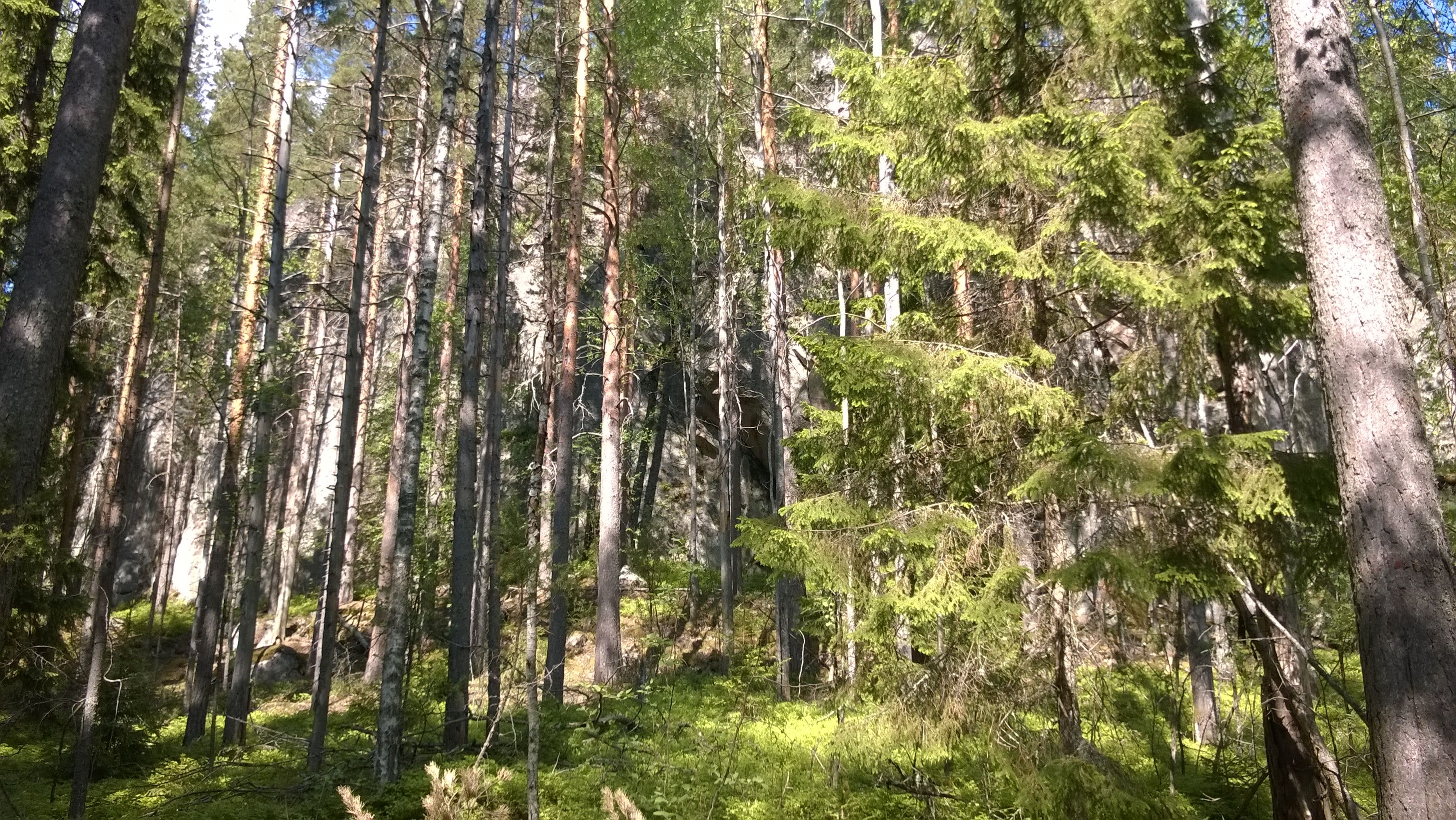 WP_20140524_004.jpg