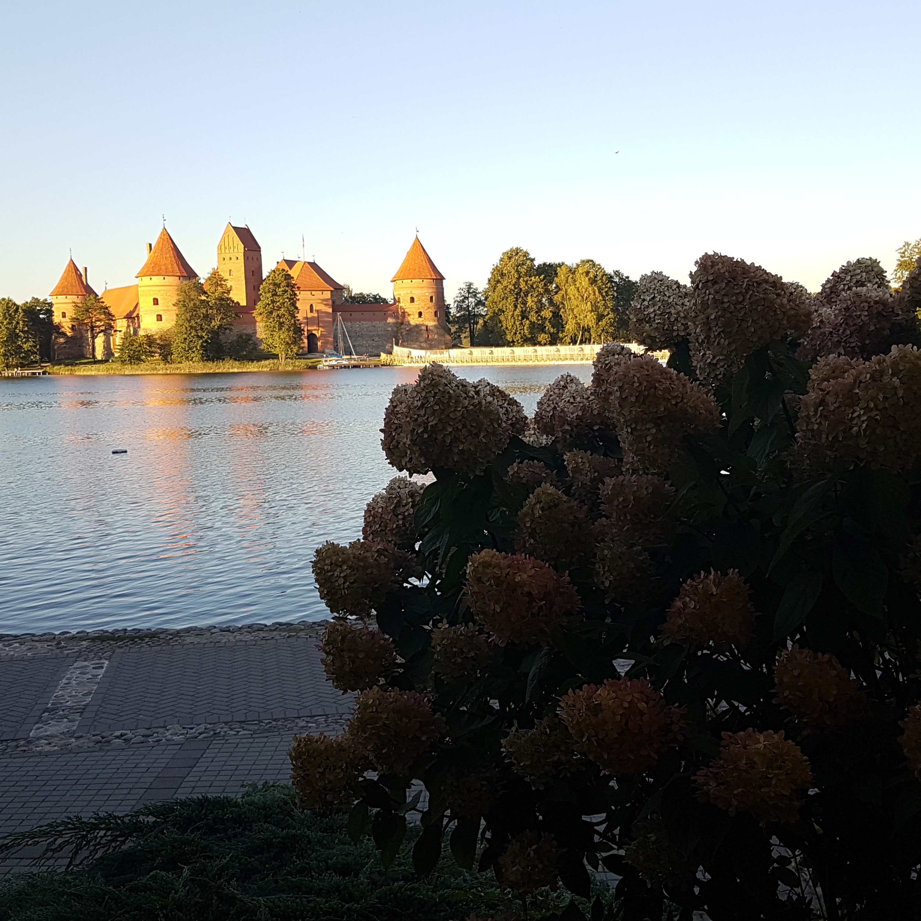 IMG_20160929_091709.jpg