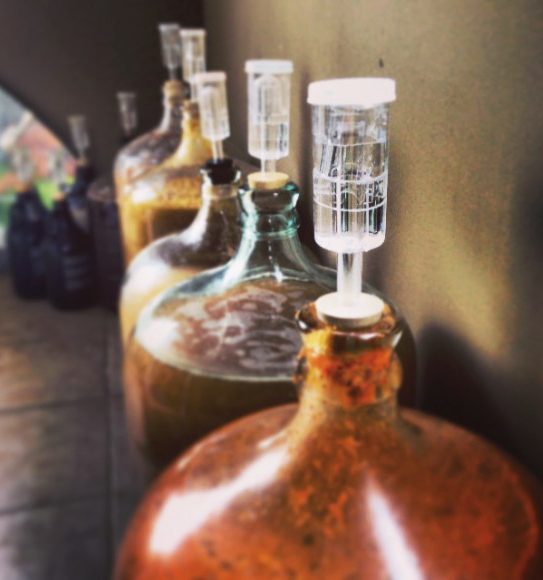 Row-Of-Carboys-With-Mead.png