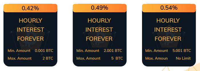 Hour interest