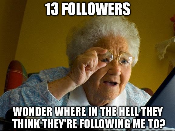 13 followers 1.JPG