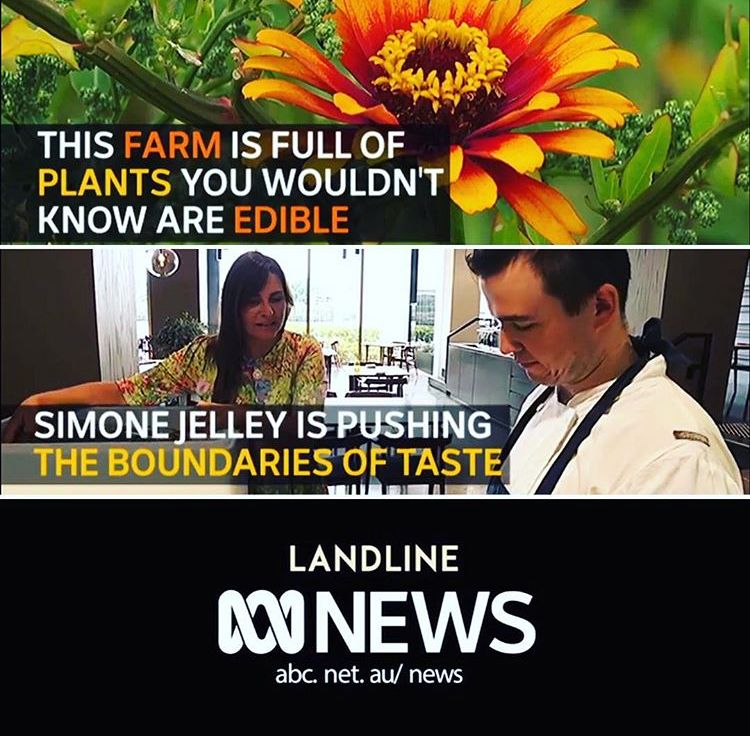 Landline 2017 Promo.jpeg