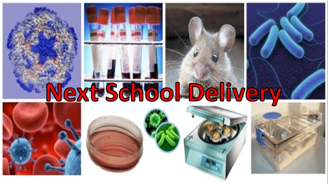 ClassroomB.jpg