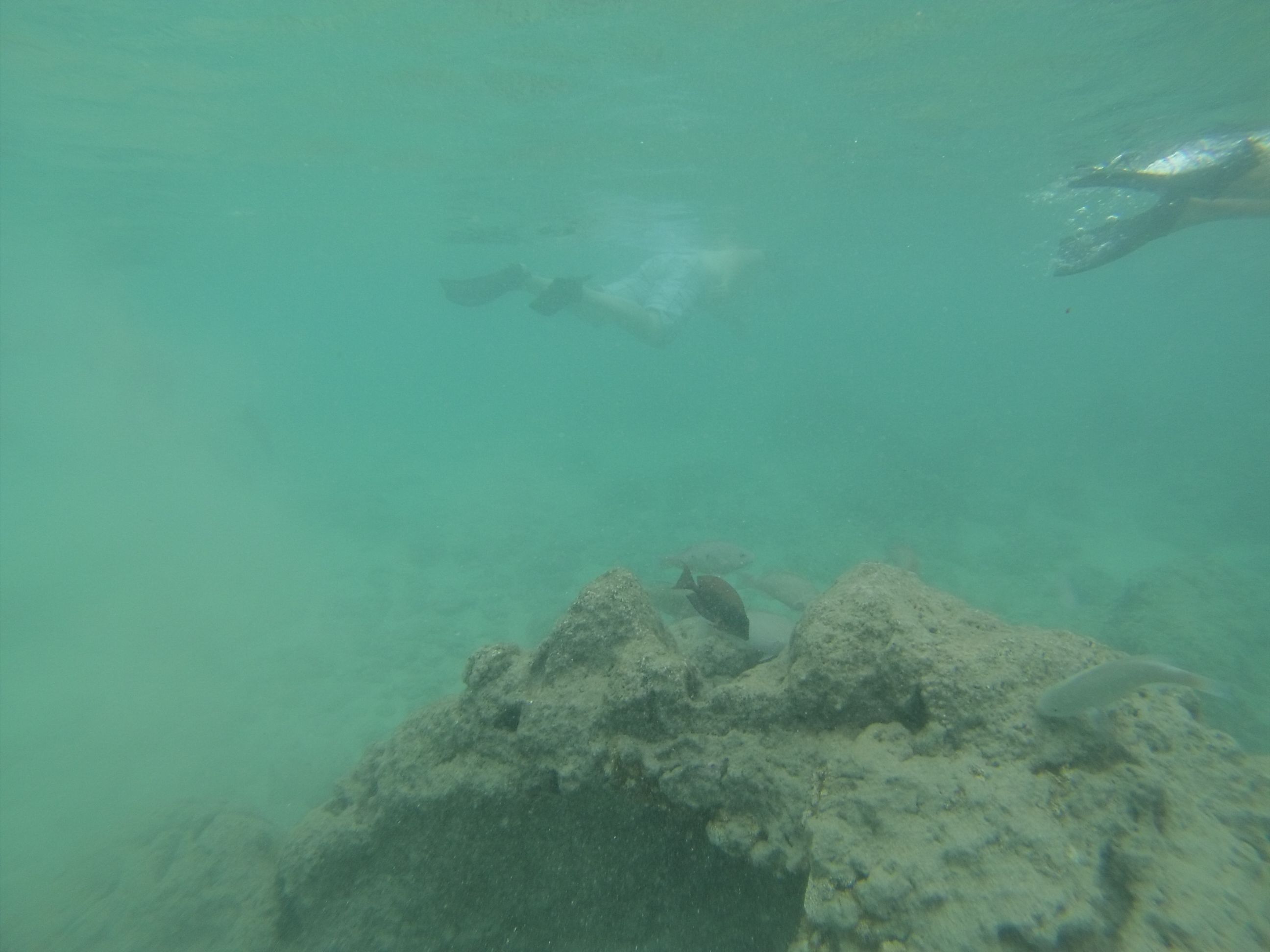 GOPR0302.JPG