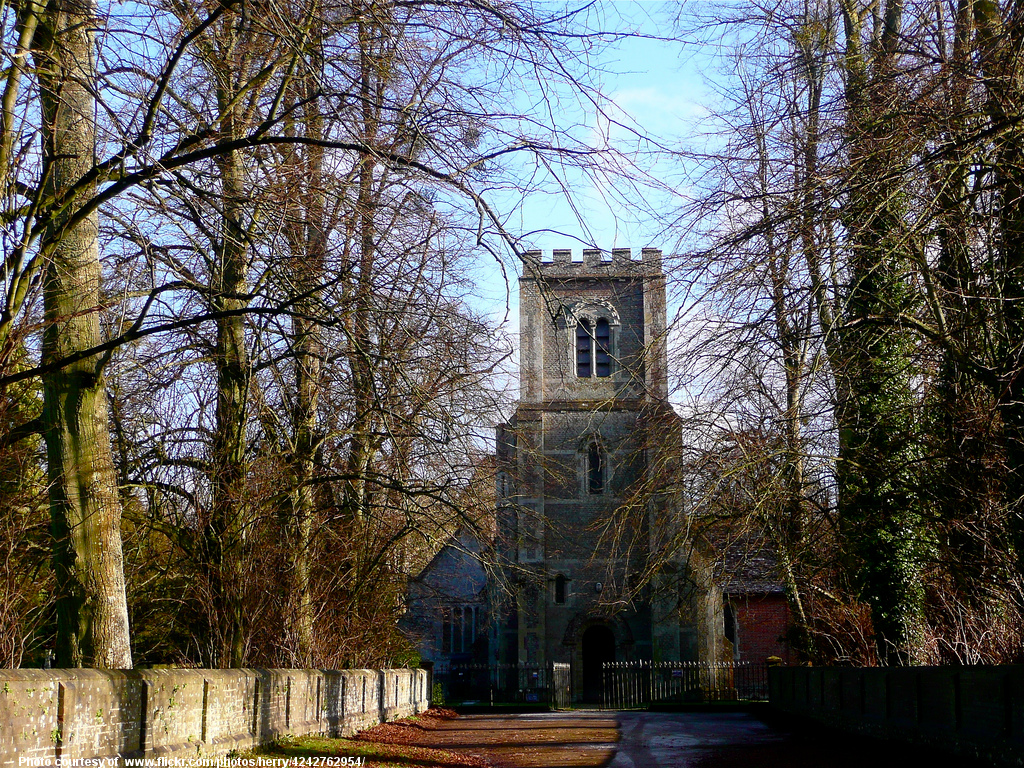 AutumnCathedral-001-010118.jpg