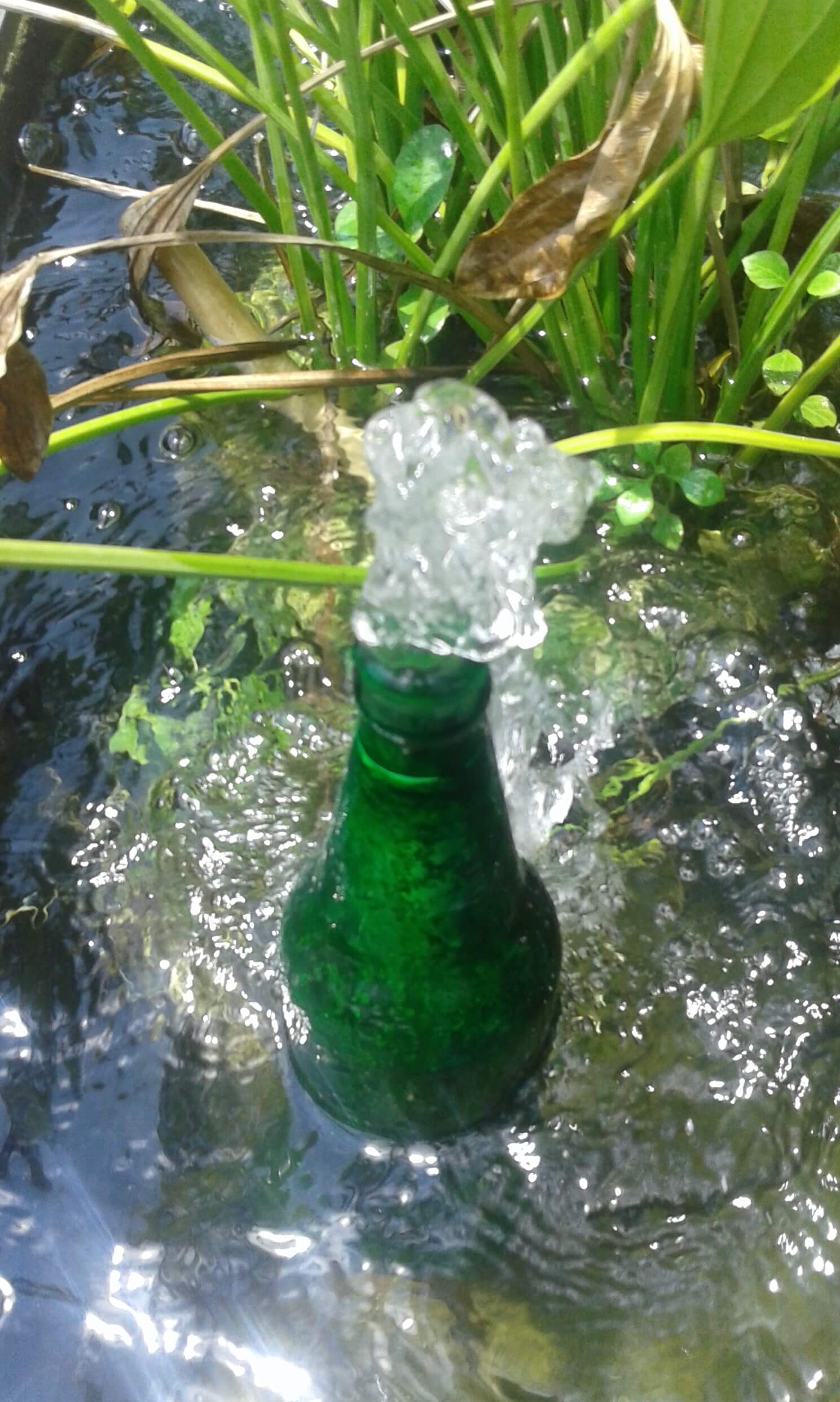 Beer bottle water fountain.jpg