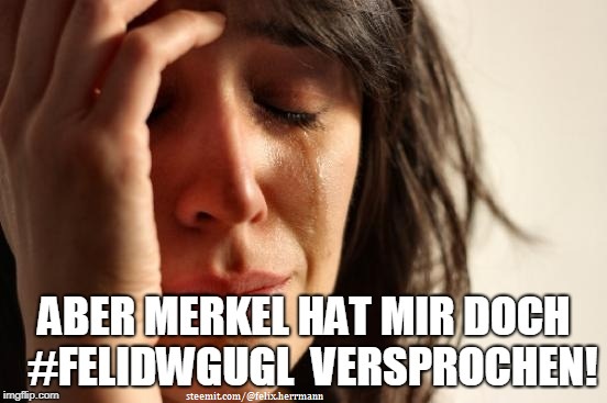 first world problems felidwgugl.jpg