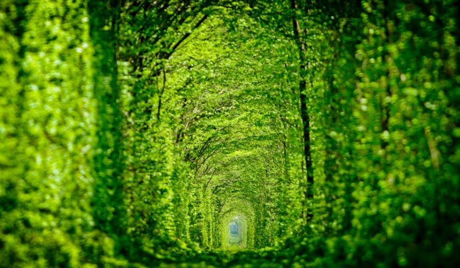 tunnel-of-love-940x548.jpg