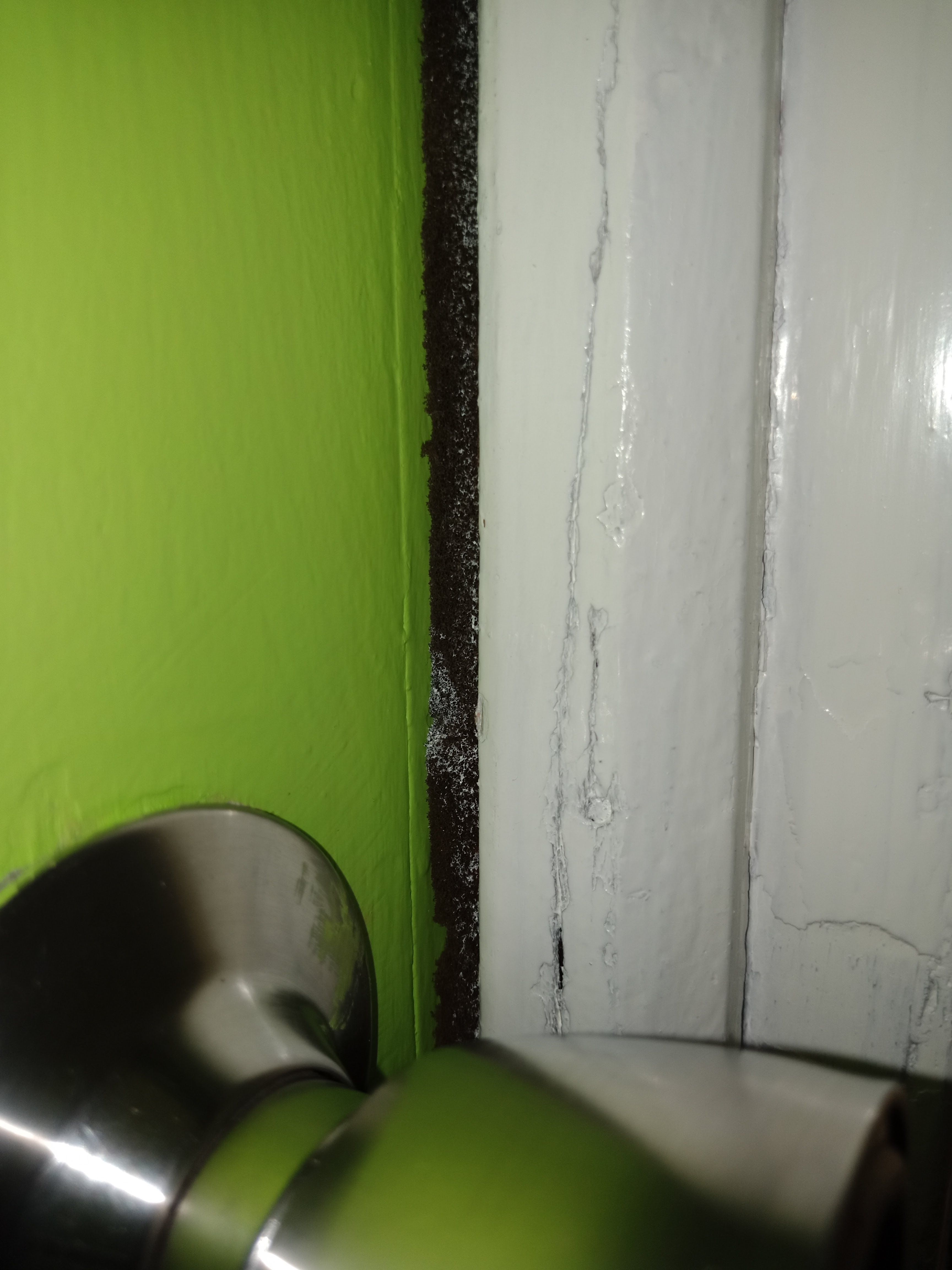 IMG20171217074208.jpg
