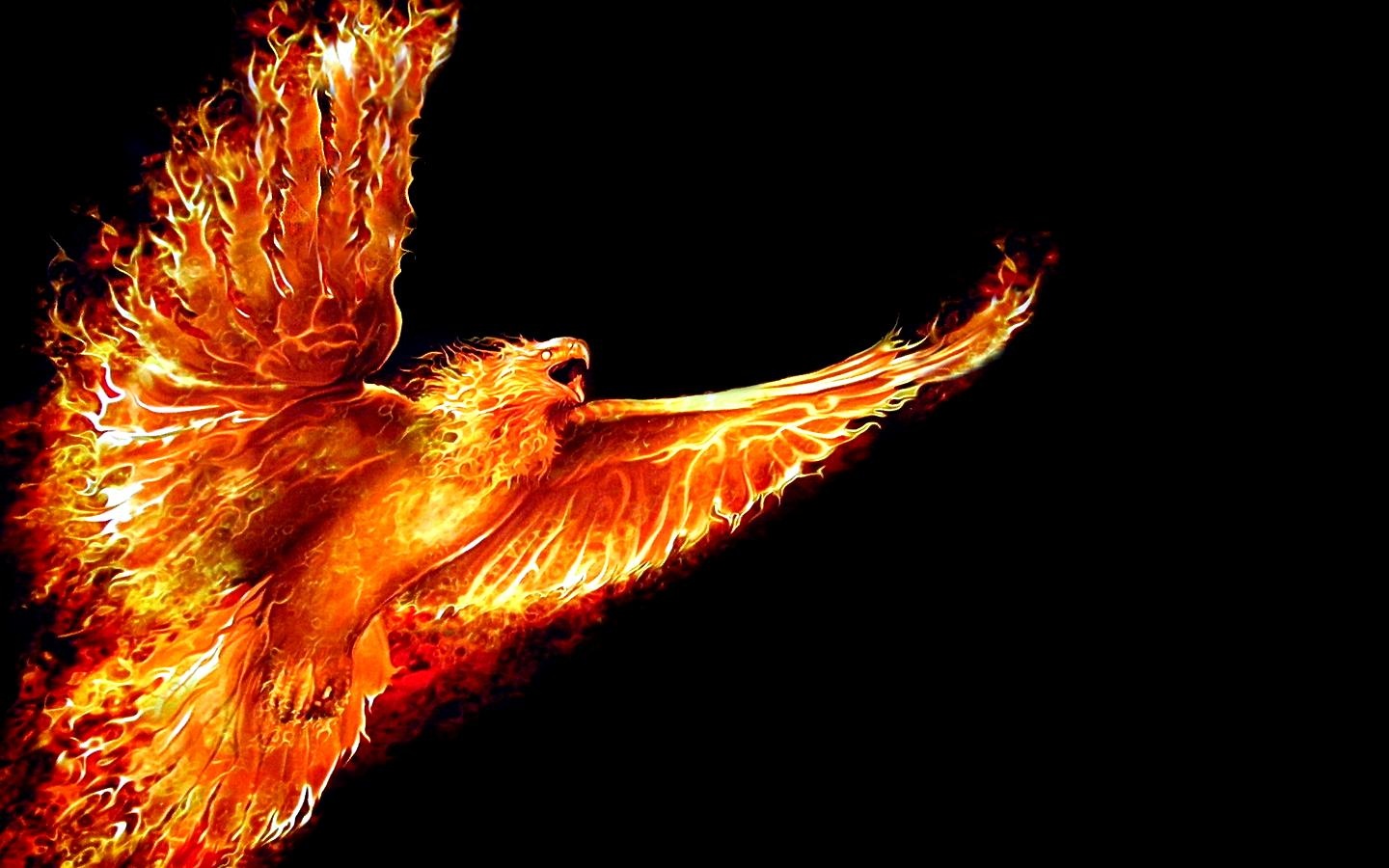 Phoenix-bird-1440x900.jpg