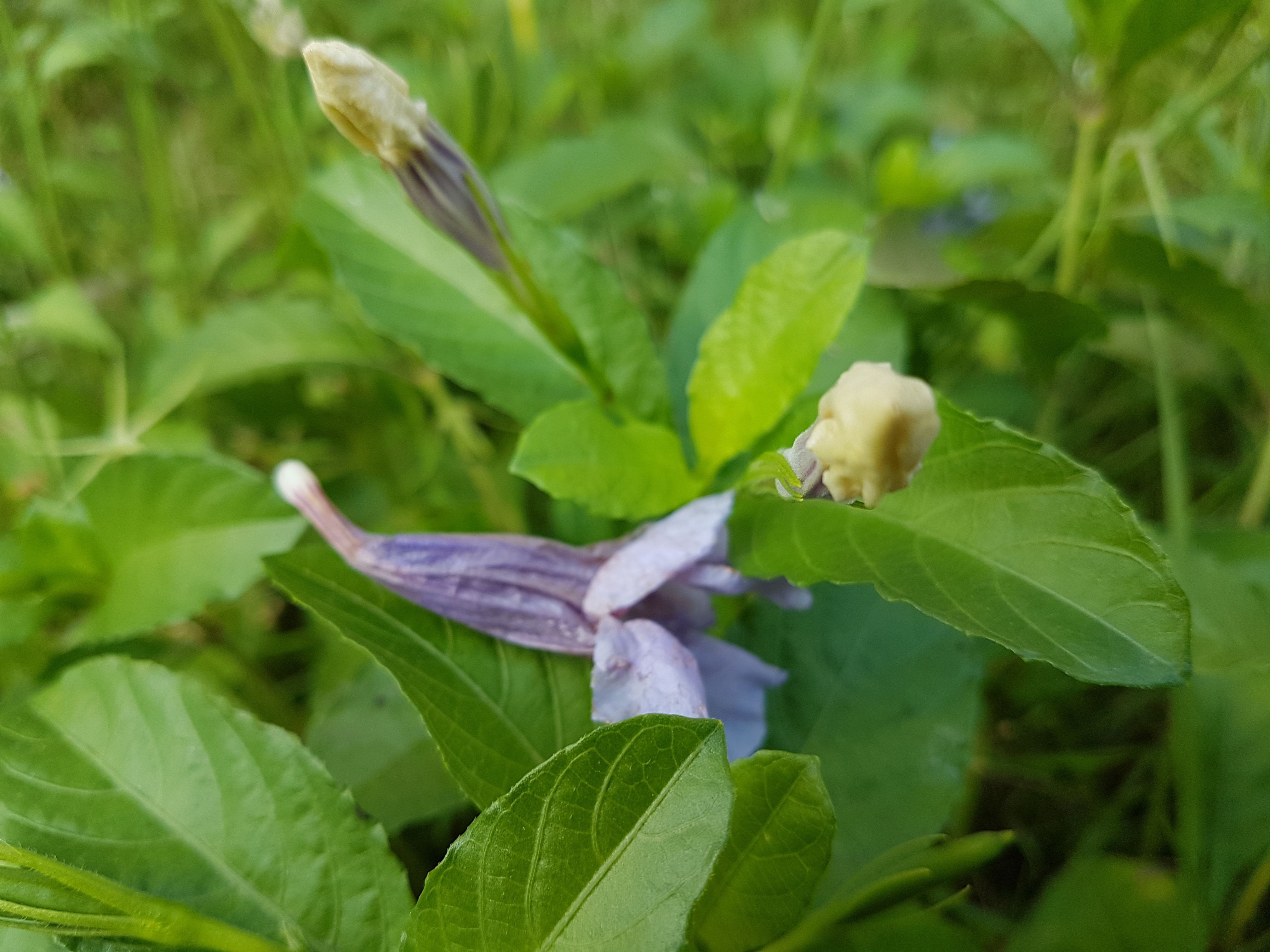 20180307_173326.jpg