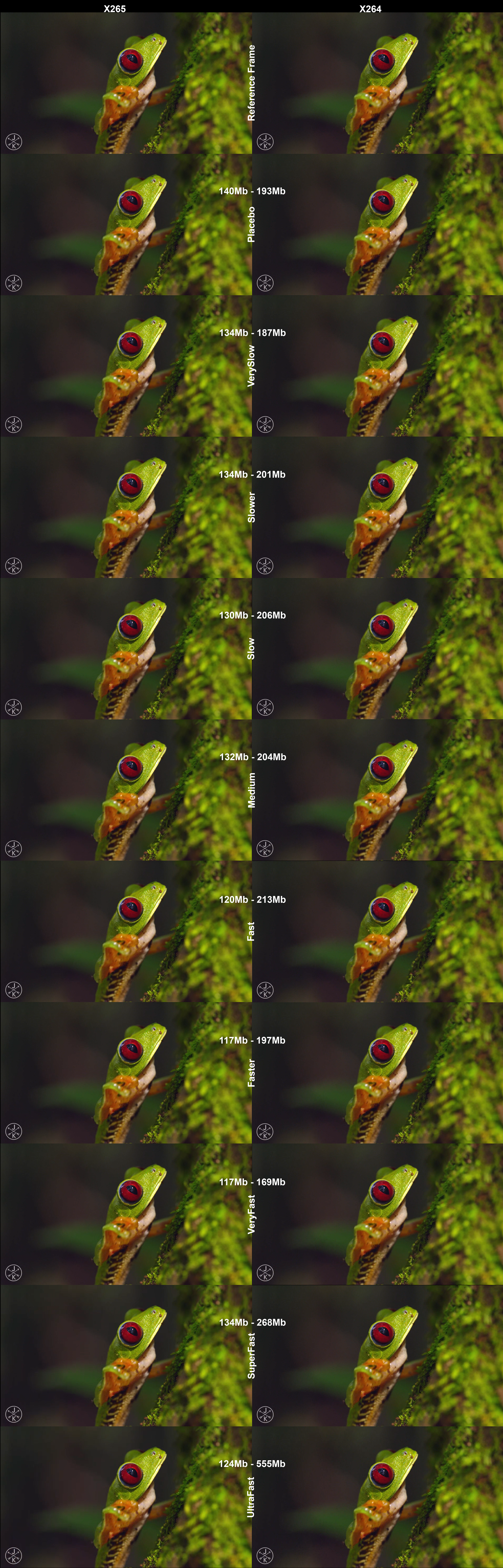 Pic2-Half.png