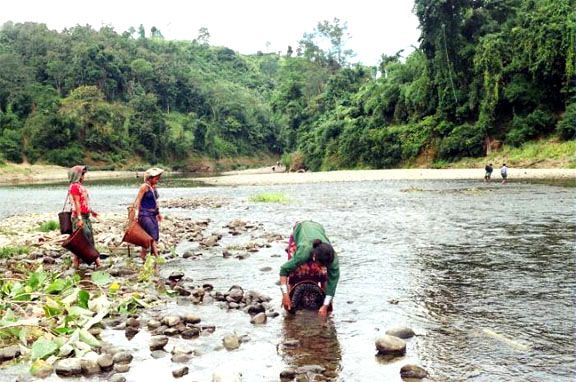 Collecting fishes and snails from stream.jpg
