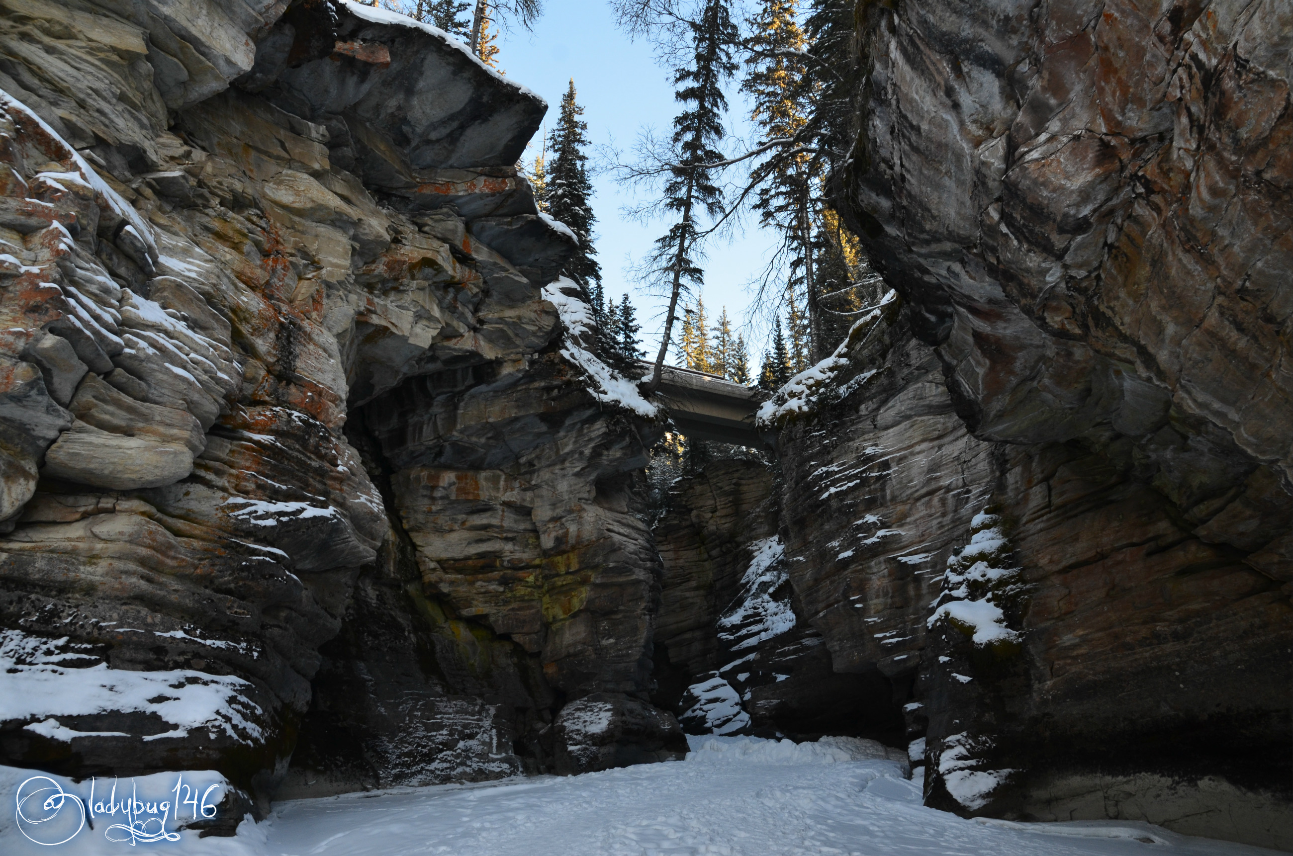 athabasca falls canyon.jpg