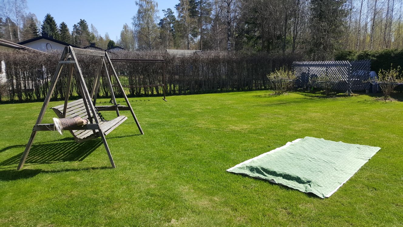 One Photo Every Day Sunbathing 106 365 Steemit