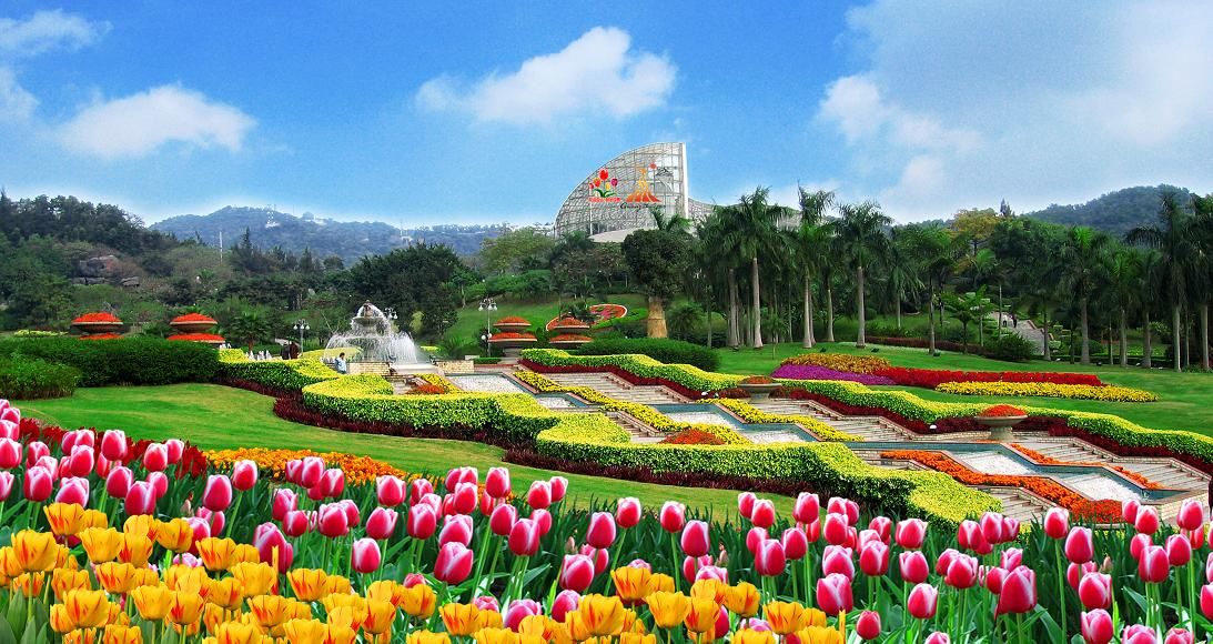 《飞鸟与夏花》每天一首自译飞鸟集（177/325） - Translate a poem form Stray Birds everyday