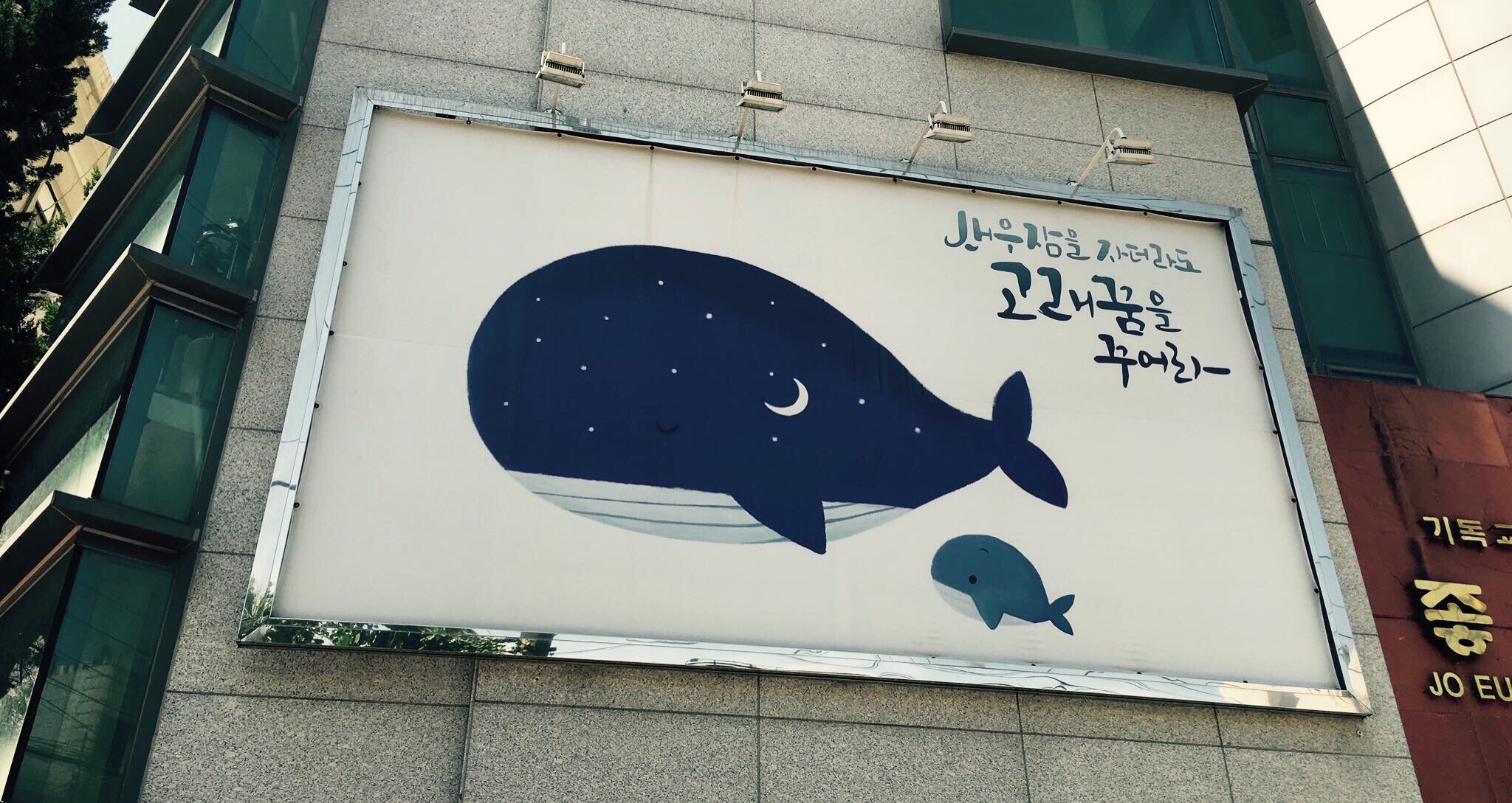 Dream of dream, whale's dream