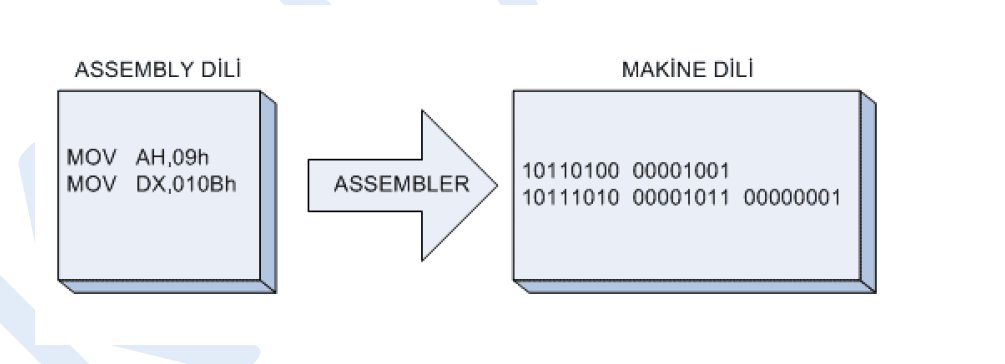 Assembly Dili Steemit